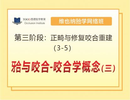 第三阶段（3-5）𬌗与咬合—咬合学概念（三）