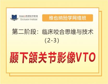 第二阶段（2-3）颞下颌关节影像VTO