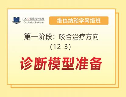 第一阶段（12-3）诊断模型准备