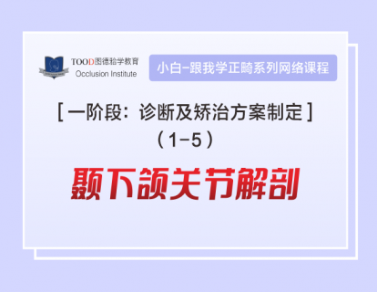 【一阶段1-5】颞下颌关节解剖