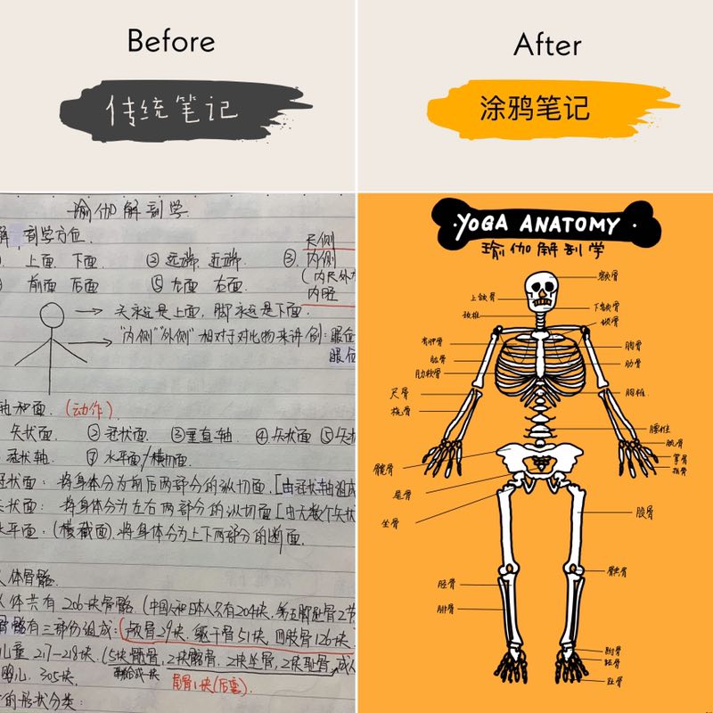 毛泡泡教你画瑜伽体式小人之体式绘制基础篇（9课时）