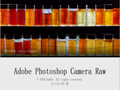 camera raw 11.3 功能介绍