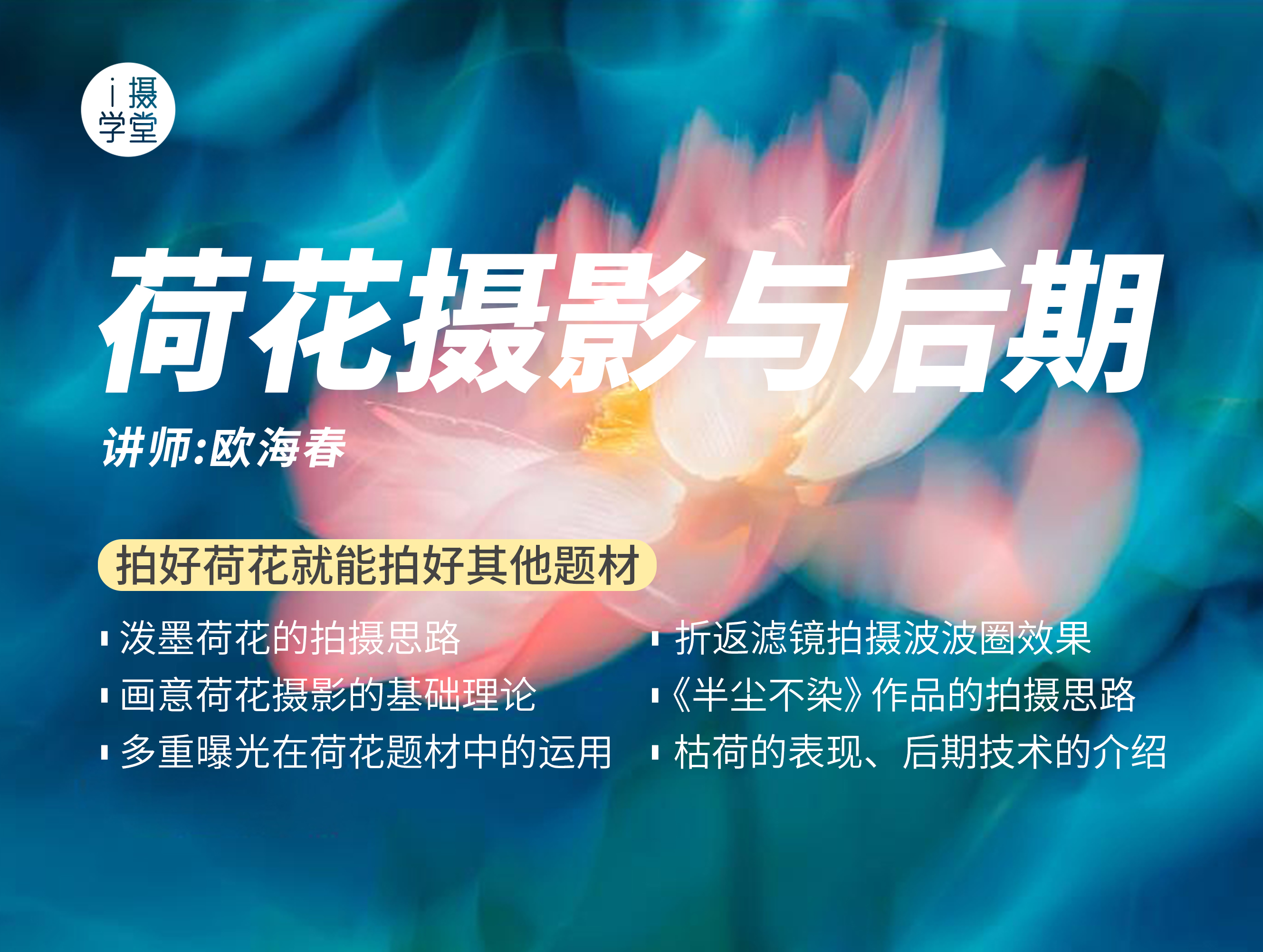 荷花摄影与后期