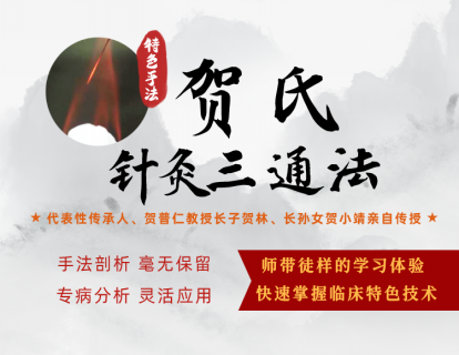 附赠直播回放：贺普仁教授逝世6周年纪念并实操答疑