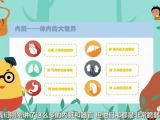 让宝宝变身“小医生”，来认识奇妙的身体内部器官吧！