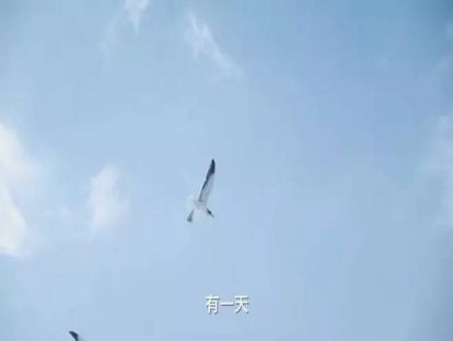 07-换一个角度看待付出，你就不会一直活得内疚