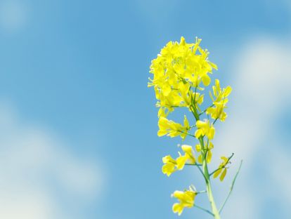 19-为什么我很孤独缺爱，却总是得不到爱？