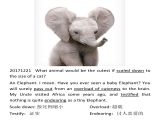 20171221  哪种动物按比例缩小到猫的大小，会和它一样可爱呢？