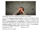 20170628  How much does stress affect our health?