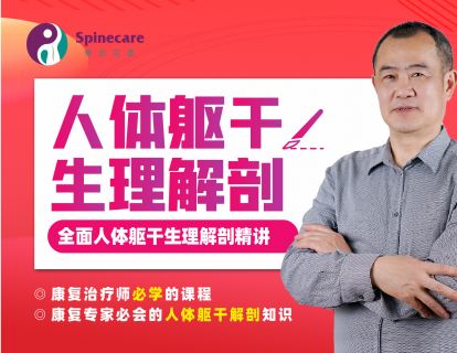 （陈实）10：躯干肌：腰背肌