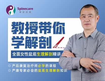 第十讲：盆底肌二