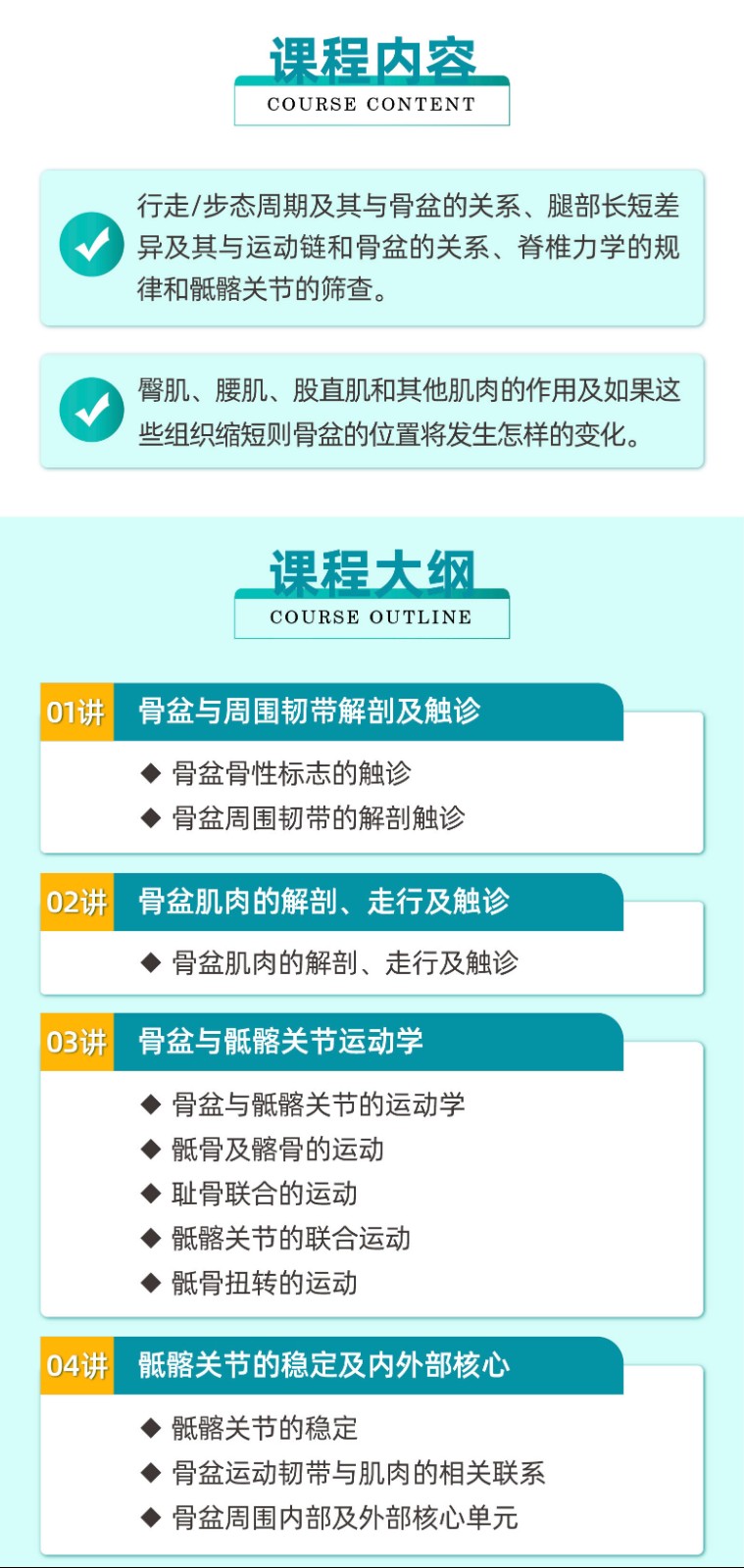 朱国苗-骨盆和骶髂关节功能解剖-手法操作指南