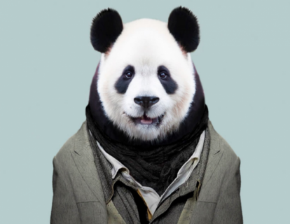 心理030491-PSPB：感知到自我与动物的相似性、创造力和焦虑——基于恐惧管理的分析