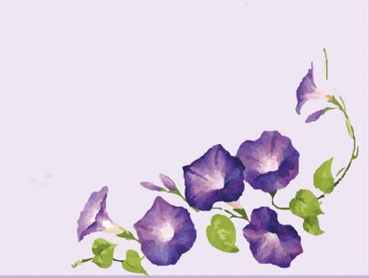 牵牛花