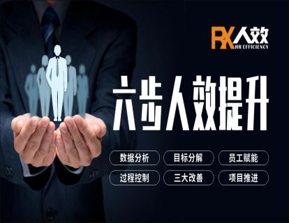 17、人效提升项目推进
