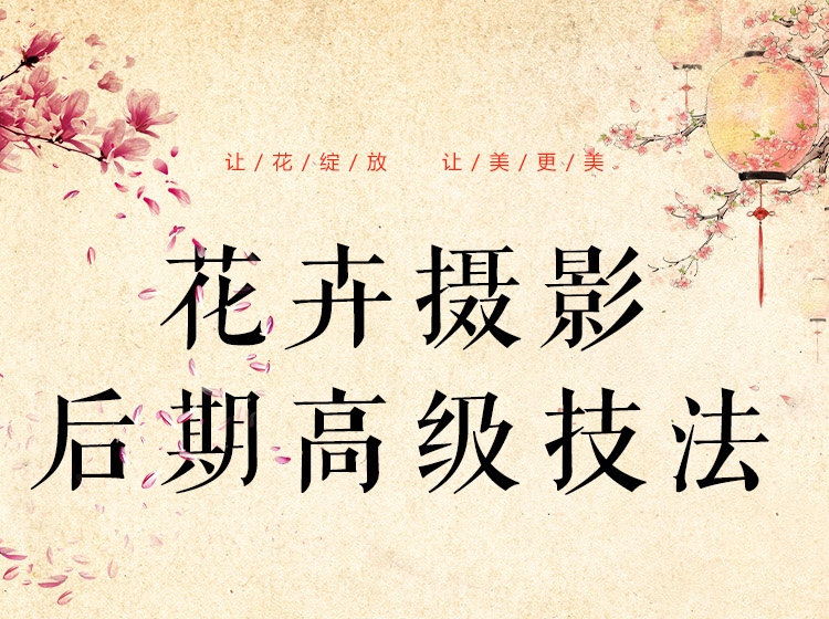 花卉摄影后期高级技法