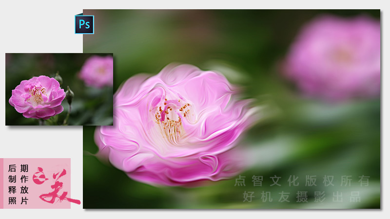 花卉摄影后期高级技法