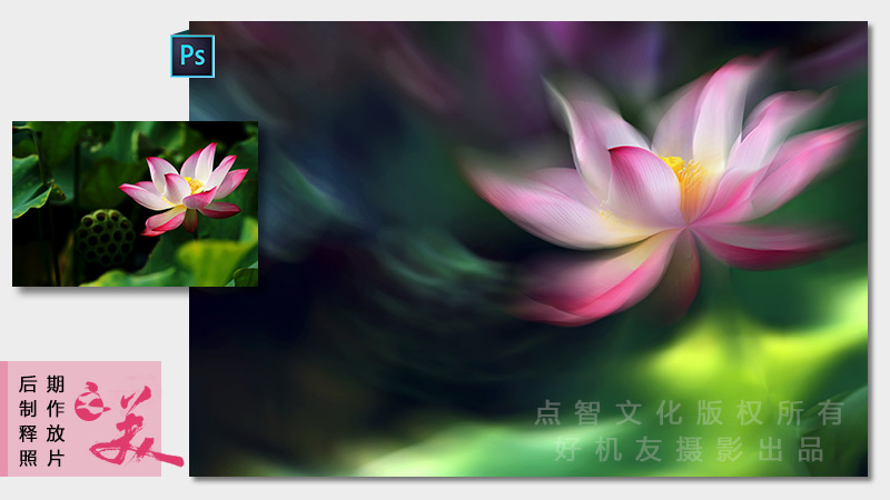 花卉摄影后期高级技法