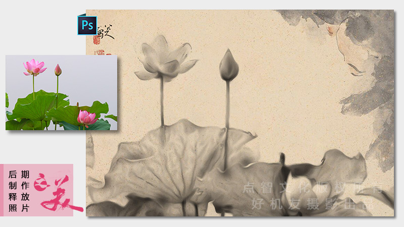 花卉摄影后期高级技法