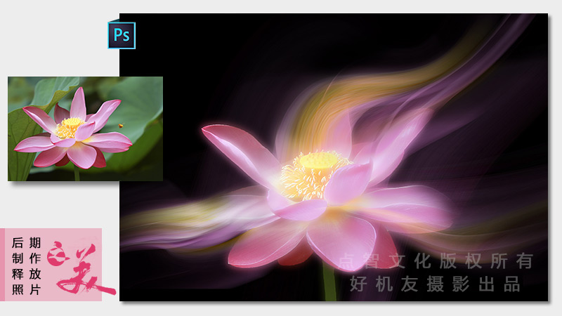 花卉摄影后期高级技法