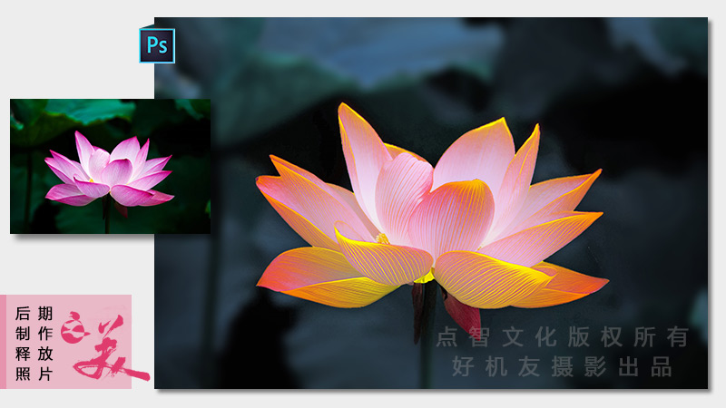 花卉摄影后期高级技法