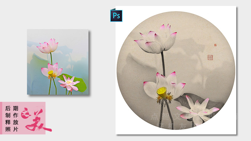 花卉摄影后期高级技法