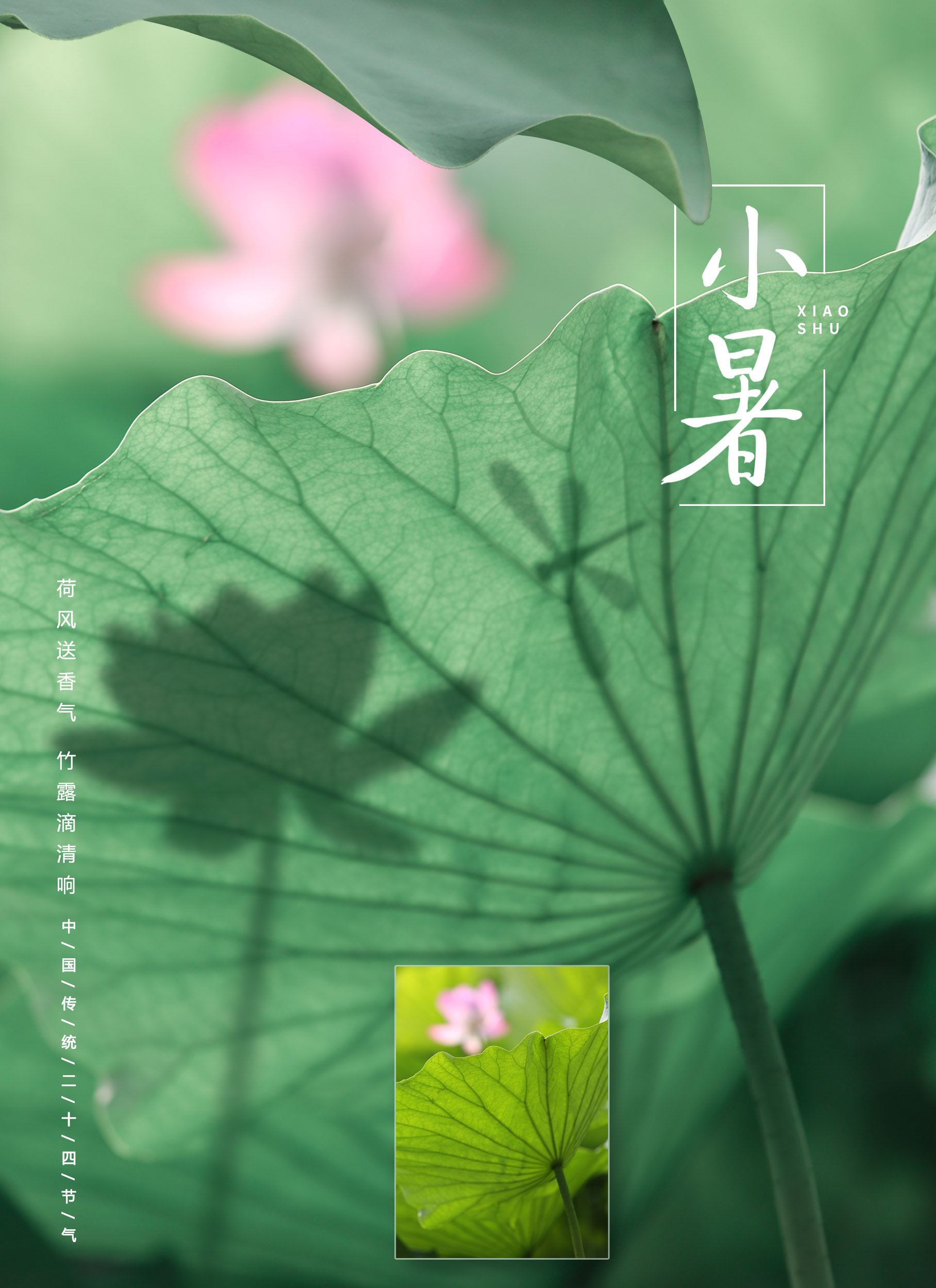 花卉摄影后期高级技法