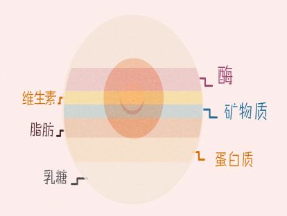 二、语言表达——3. 给孩子讲好故事