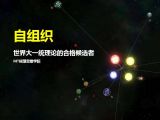 39自组织 | 世界大一统理论的合格候选者