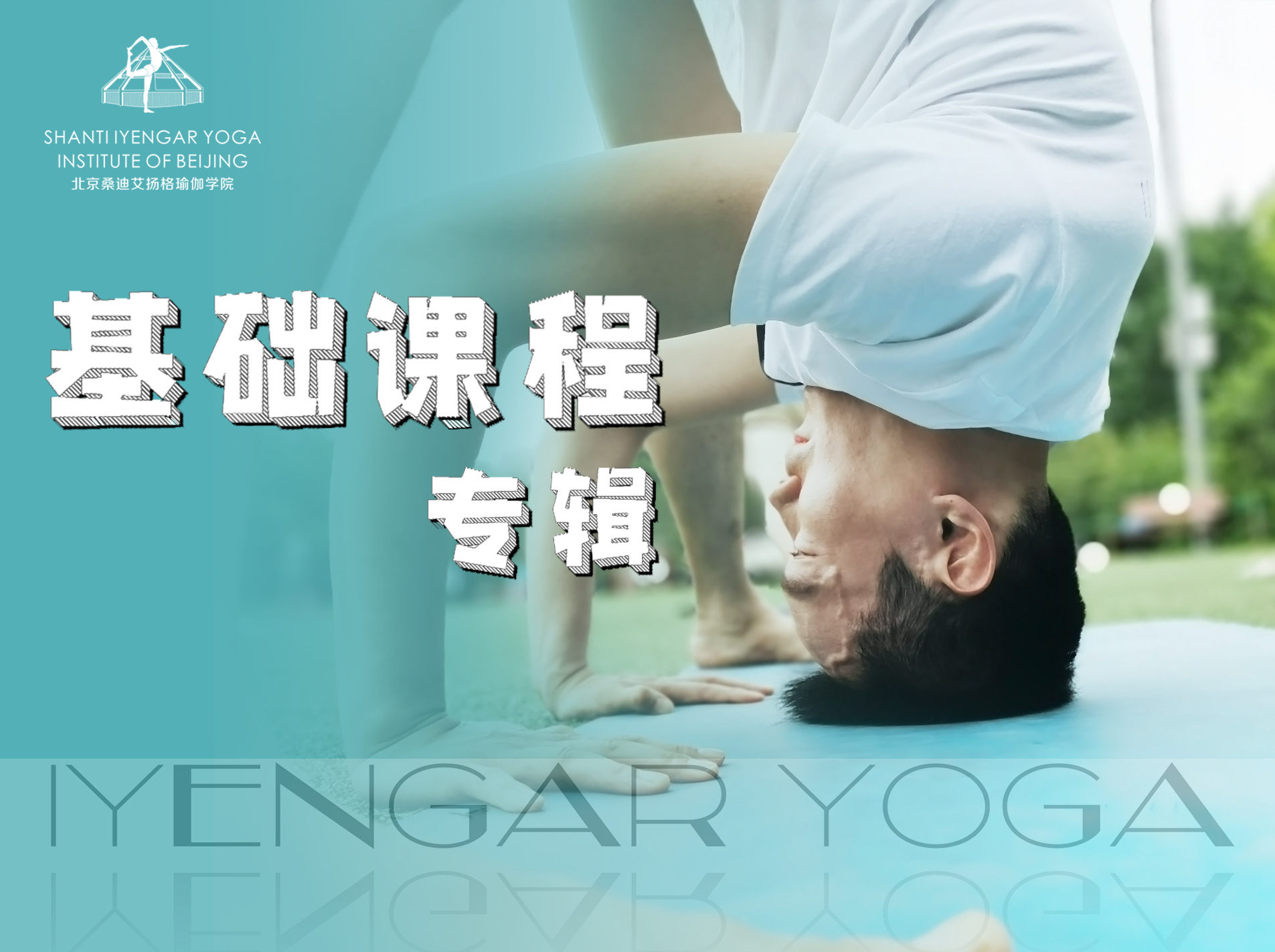 艾扬格基础课专辑