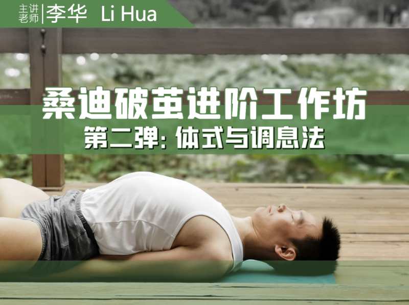 李华老师破茧进阶工作坊2 体式合辑