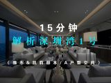 15分钟解析深圳湾1号（A户型/凯莉赫本&雅布/空间PK