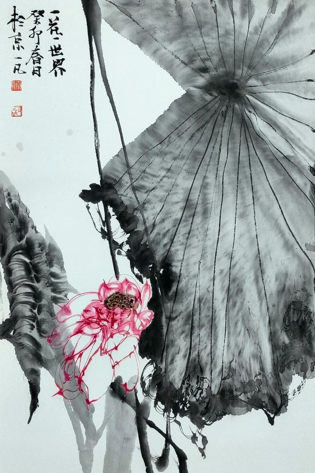秦一凡线描写生网课