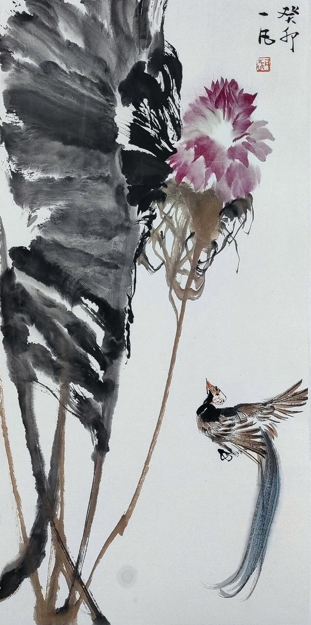 秦一凡线描写生网课