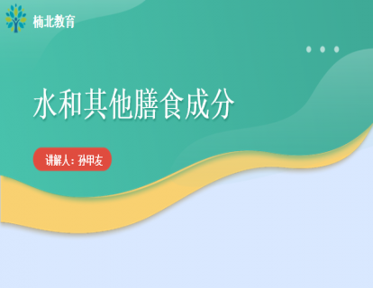 水及其他膳食成分