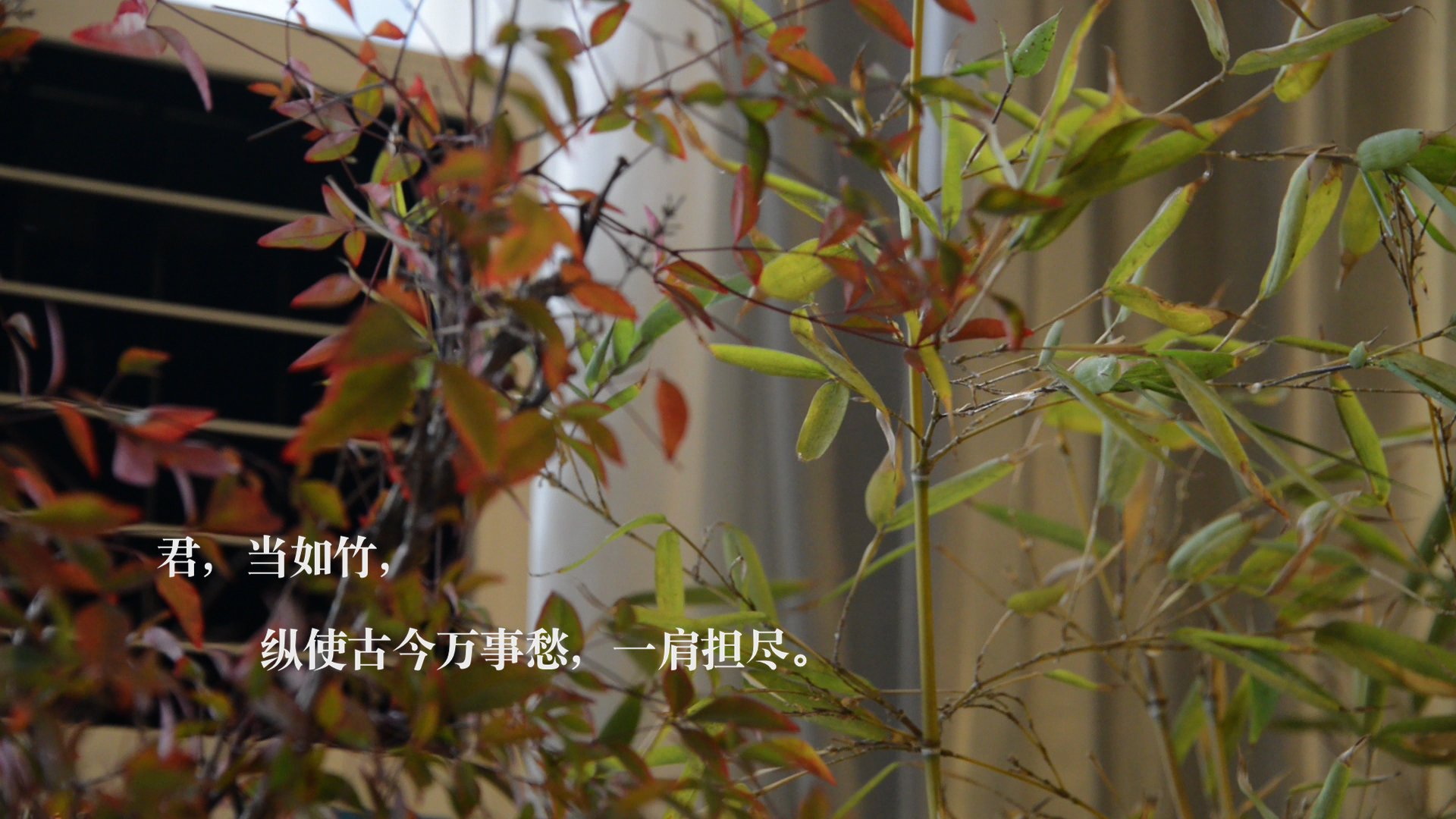 解析中国画的不传之秘