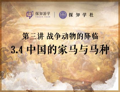 第三讲 战争动物的降临：第3节 中国的家马与马种