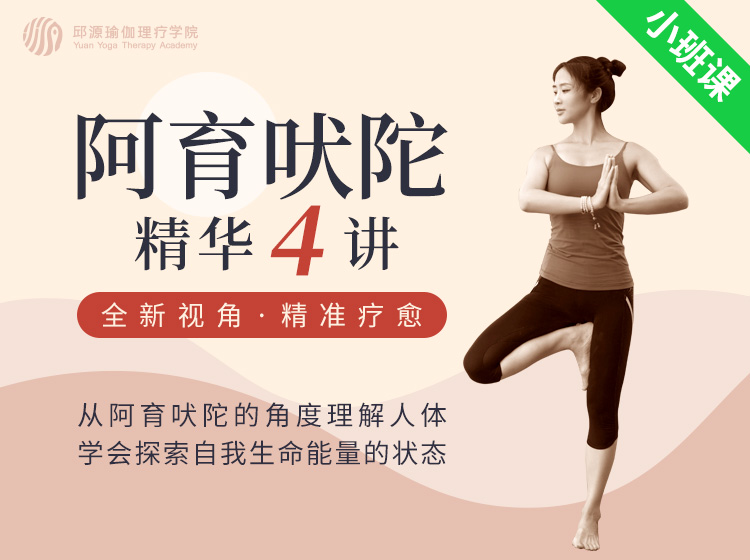 阿育吠陀精华4讲
