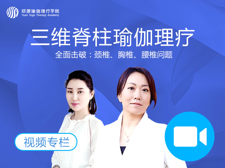 第一节：三维脊柱的理论讲解