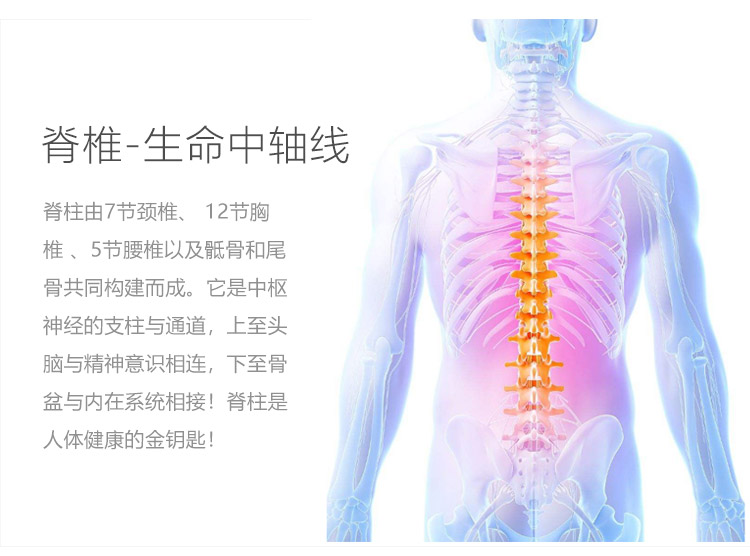 三维脊柱瑜伽理疗系统习练课