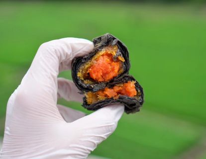 凤梨黑金酥课件与说明