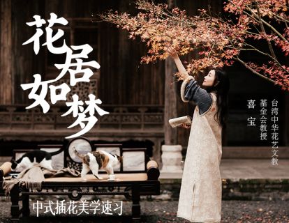 花居如梦，陪你温柔过生活
