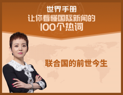 五常权力太大，电脑联网花了五年，联合国要如何改革？