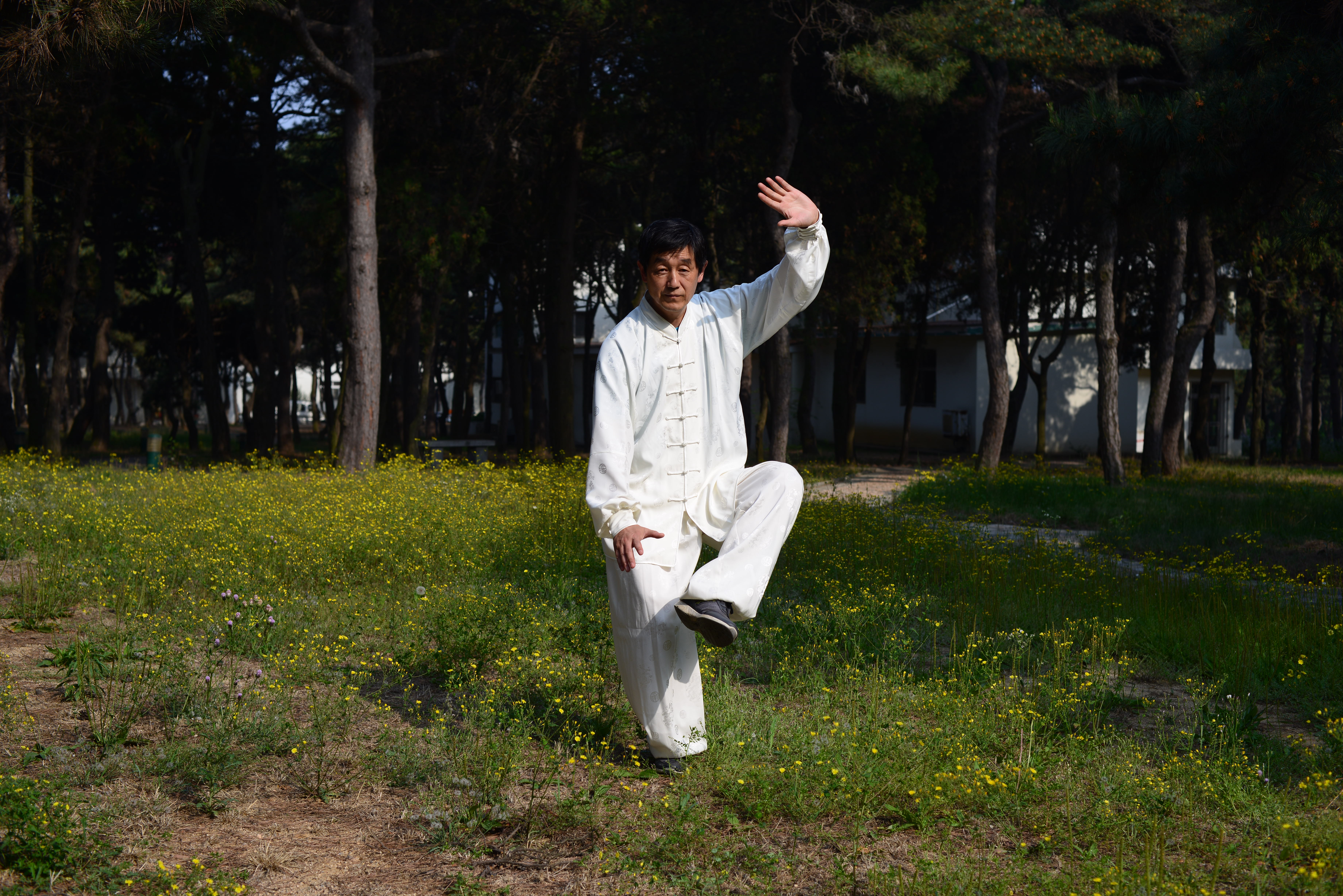李经梧传吴式太极精讲