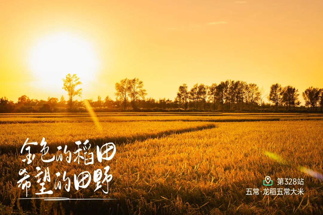远方好物探秘东北：八月生态绿色食品溯源之旅