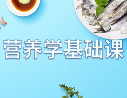 先导片