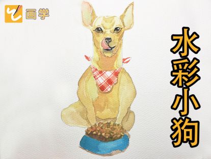 14、等待吃饭的小狗