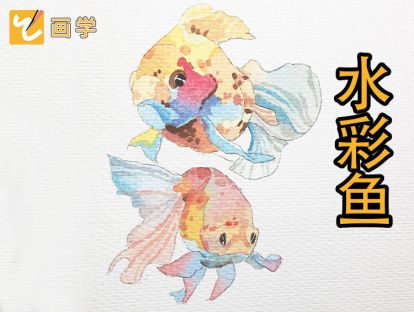 11、游泳的小鱼