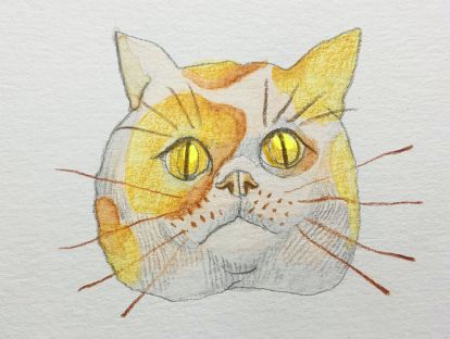 12、蜡性彩铅-超可爱的大脸猫