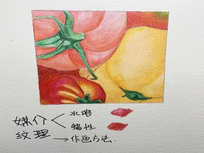 6、水溶性彩铅和蜡型彩铅的混合作画（上）